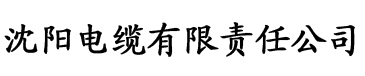 亚洲av日韩精品一区二区三区电缆厂logo